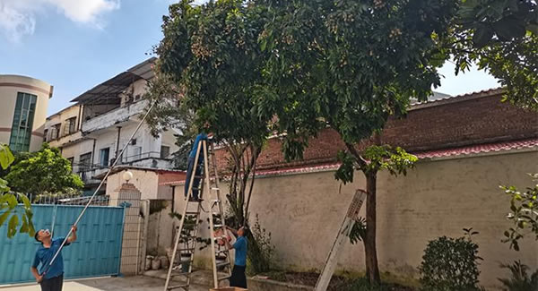 廣有儲良龍眼，詮釋濃情盛夏|廣有五金&東莞合頁