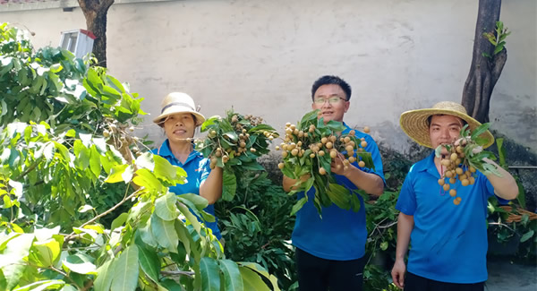 摘一顆龍眼，品一份團圓，謝一次饋贈 | 廣有五金&東莞合頁?
